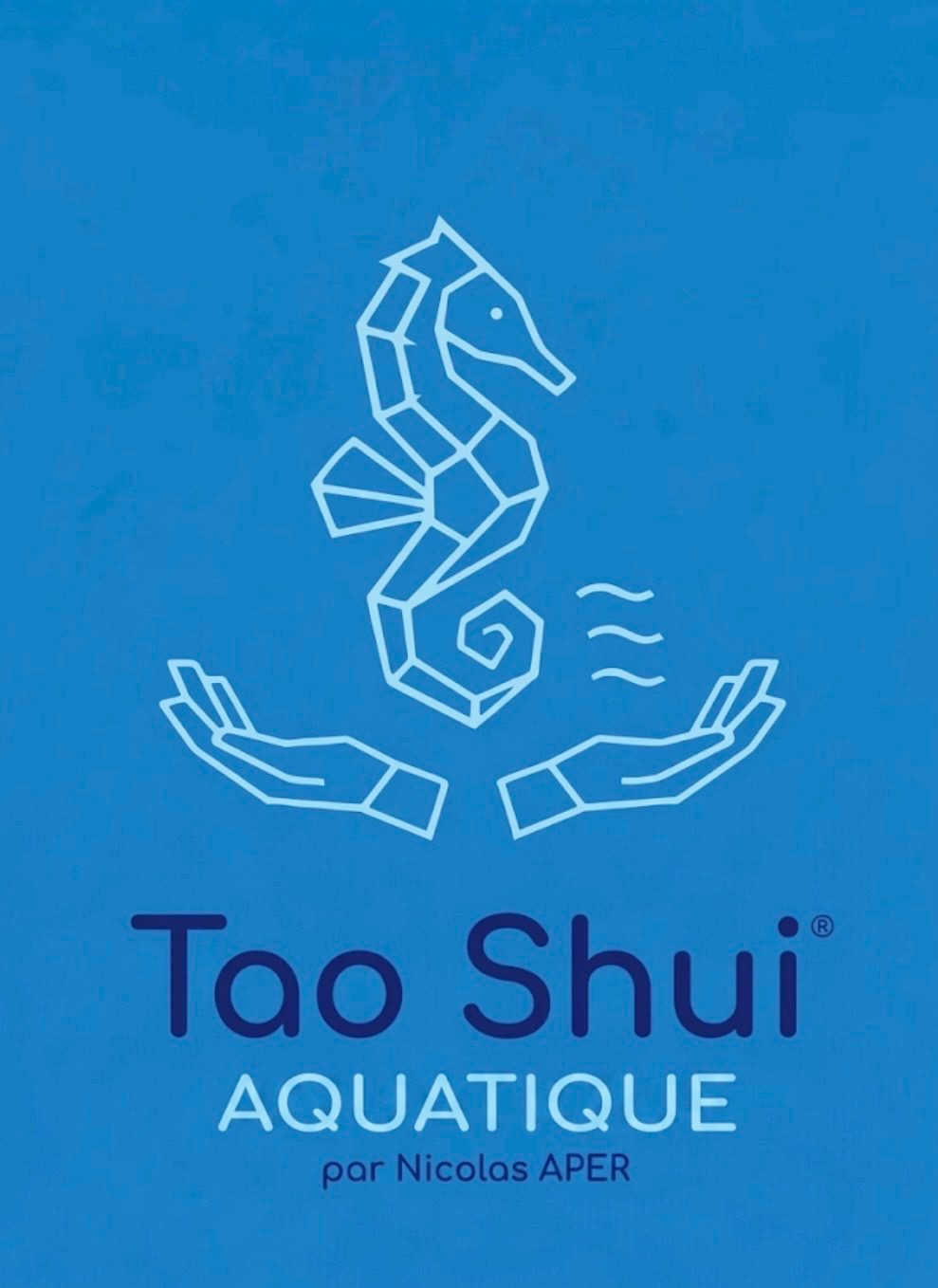Tao Shui Aquatique par Nicolas APET